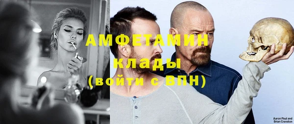 индика Белокуриха