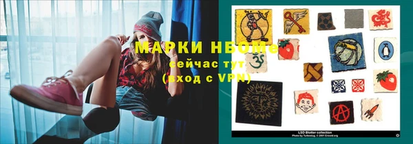 индика Белокуриха