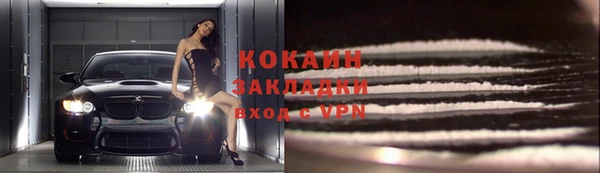 индика Белокуриха