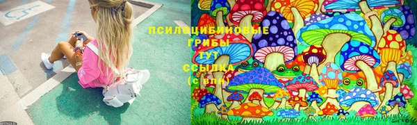 spice Беломорск