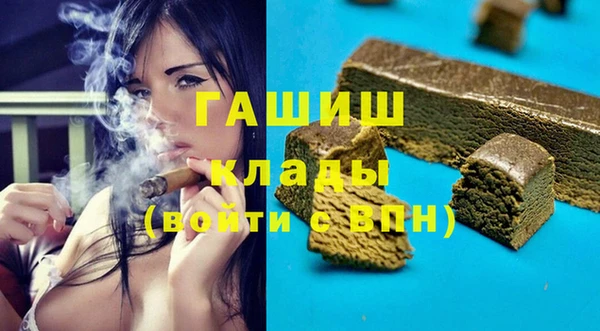 индика Белокуриха