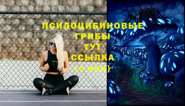 гидропоника Кинешма