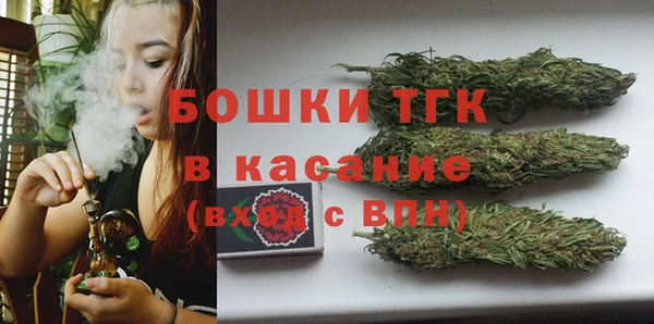 индика Белокуриха