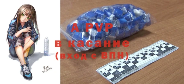 индика Белокуриха
