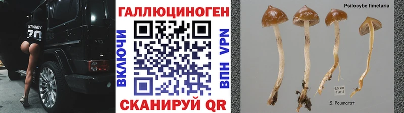 Псилоцибиновые грибы Cubensis  Облучье 